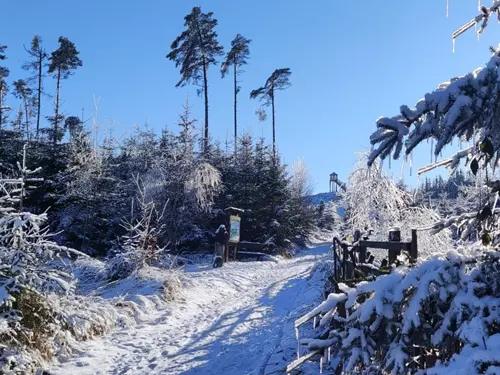 Zdroj foto: Třebíčsko, autor Pavla Jůdová