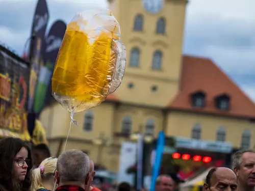 Zdroj foto: FB Žatecká Dočesná