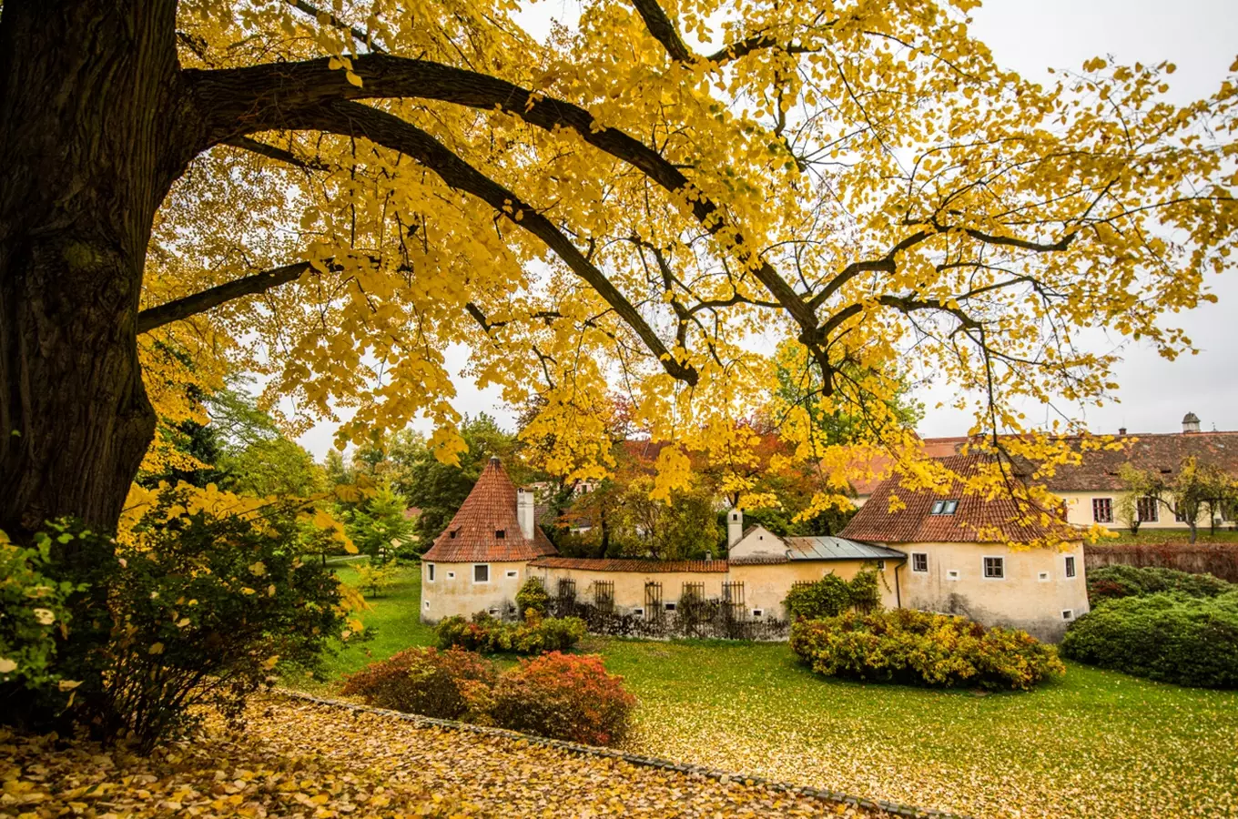 fotomísta Třeboň, kudy z nudy