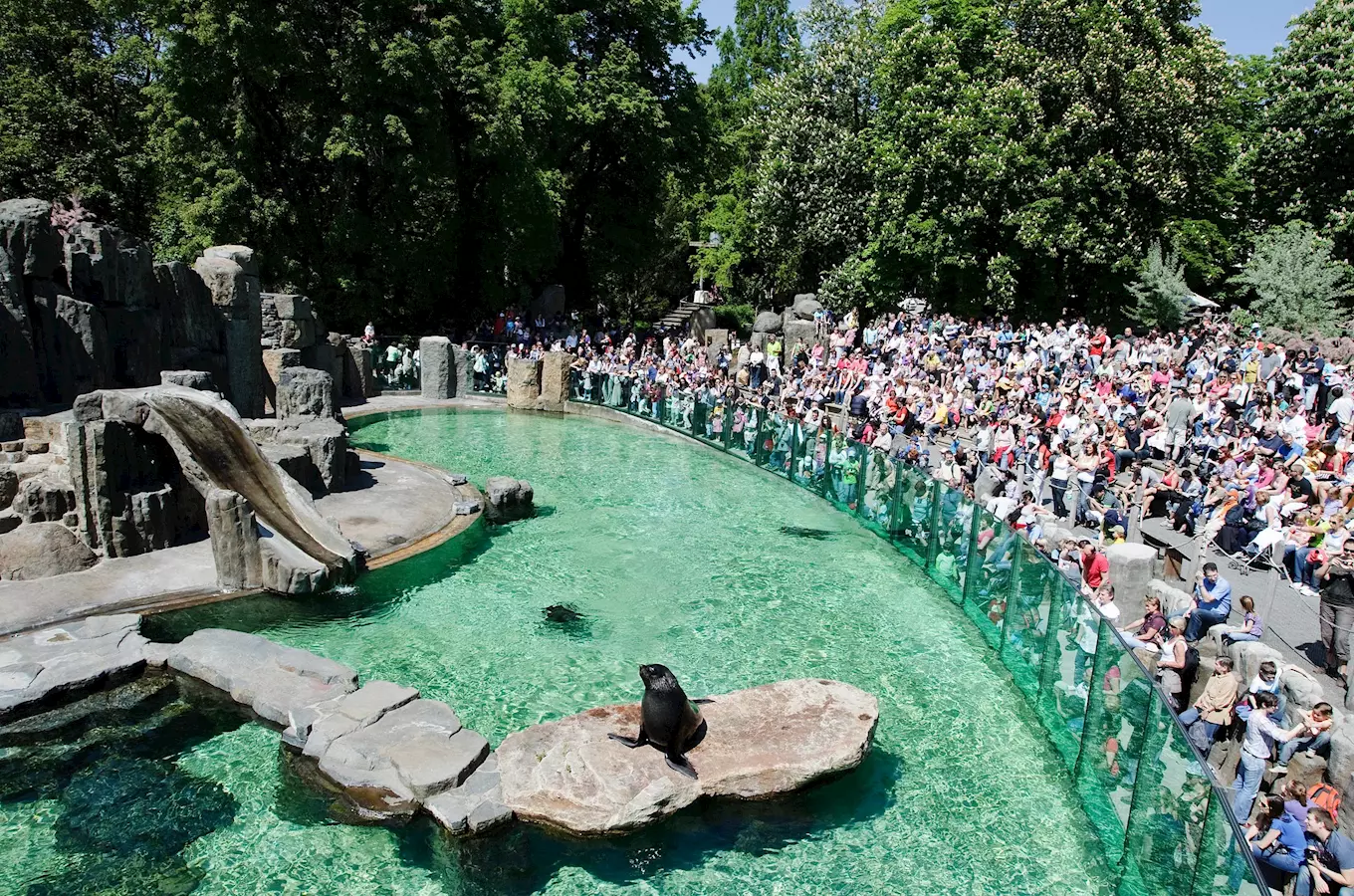 Zoo Praha – pátá nejlepší zoo na světě
