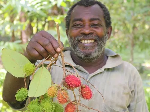 Africké trhy v Ostravě
