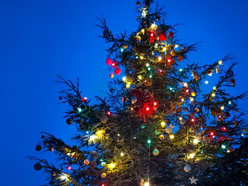 Advent v Zoo Praha: rozsvícení vánočního stromu