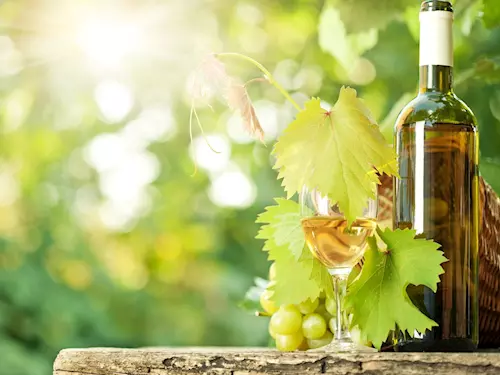 Nejlepším vínem České republiky 2019 je Rulandské bílé Zámeckého vinařství Bzenec