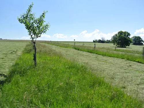 Komentované procházky hrušňovými sady Farma Blatnička