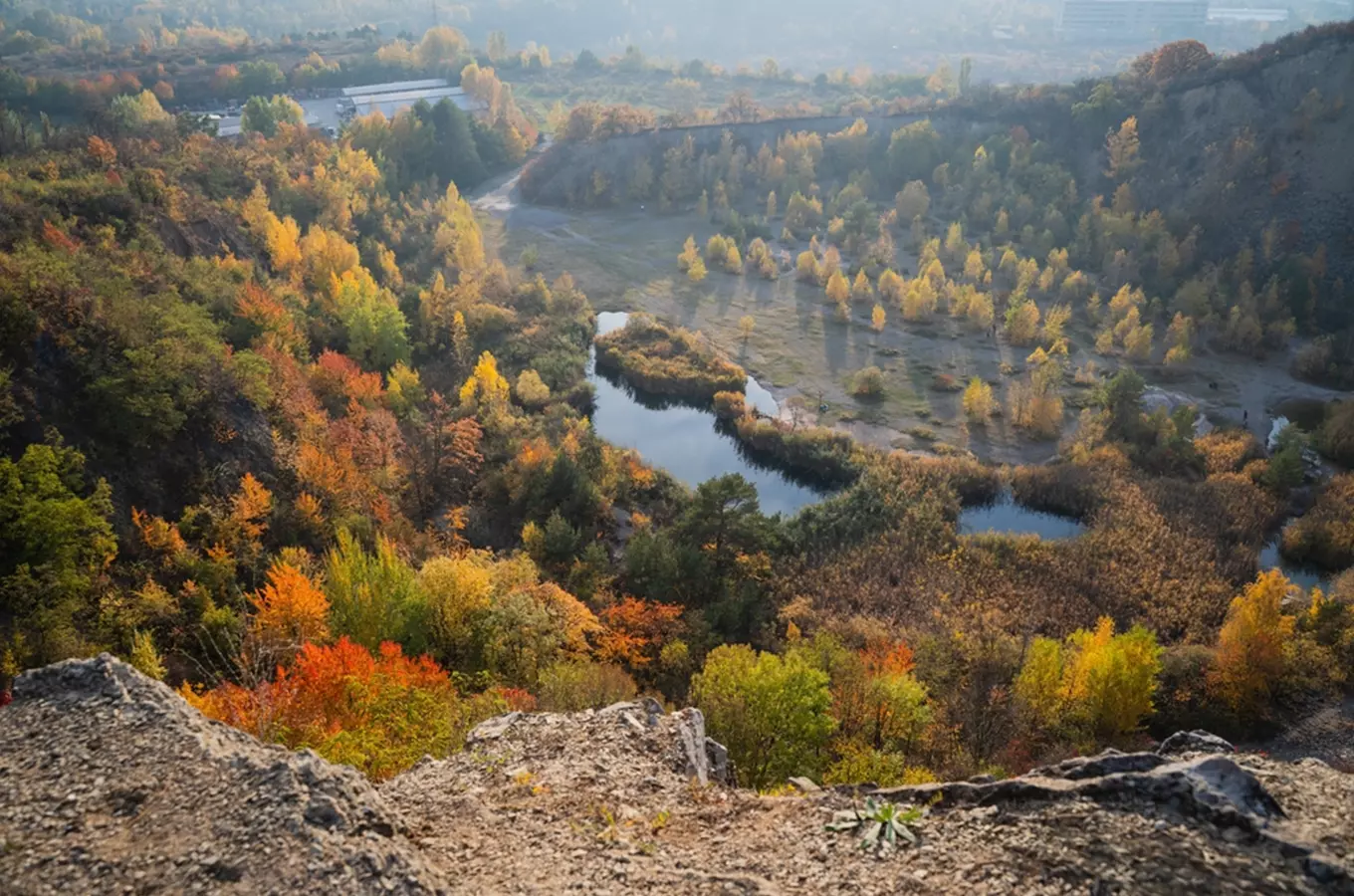 Růženin lom