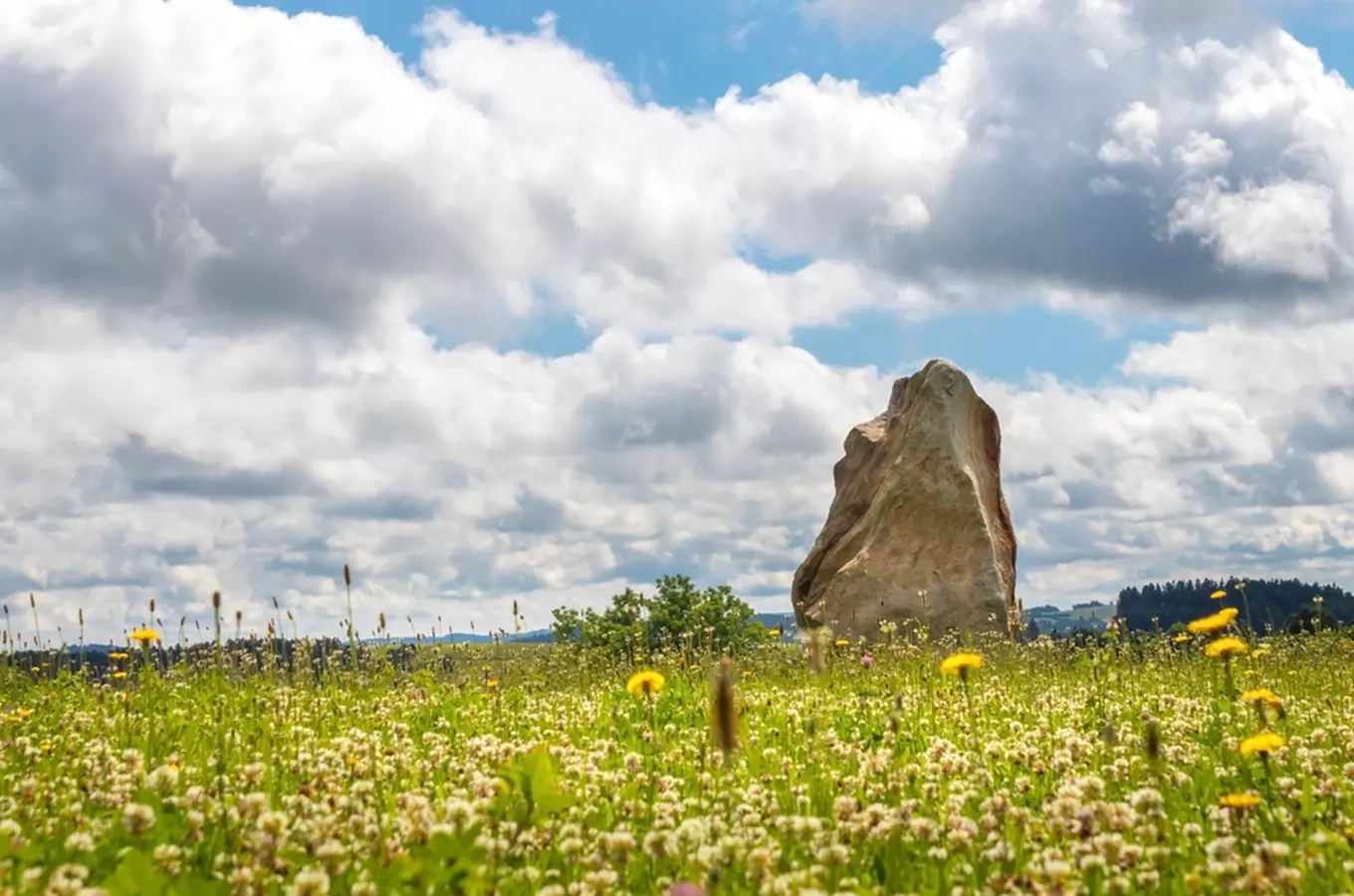 Monument Radka Jaroše