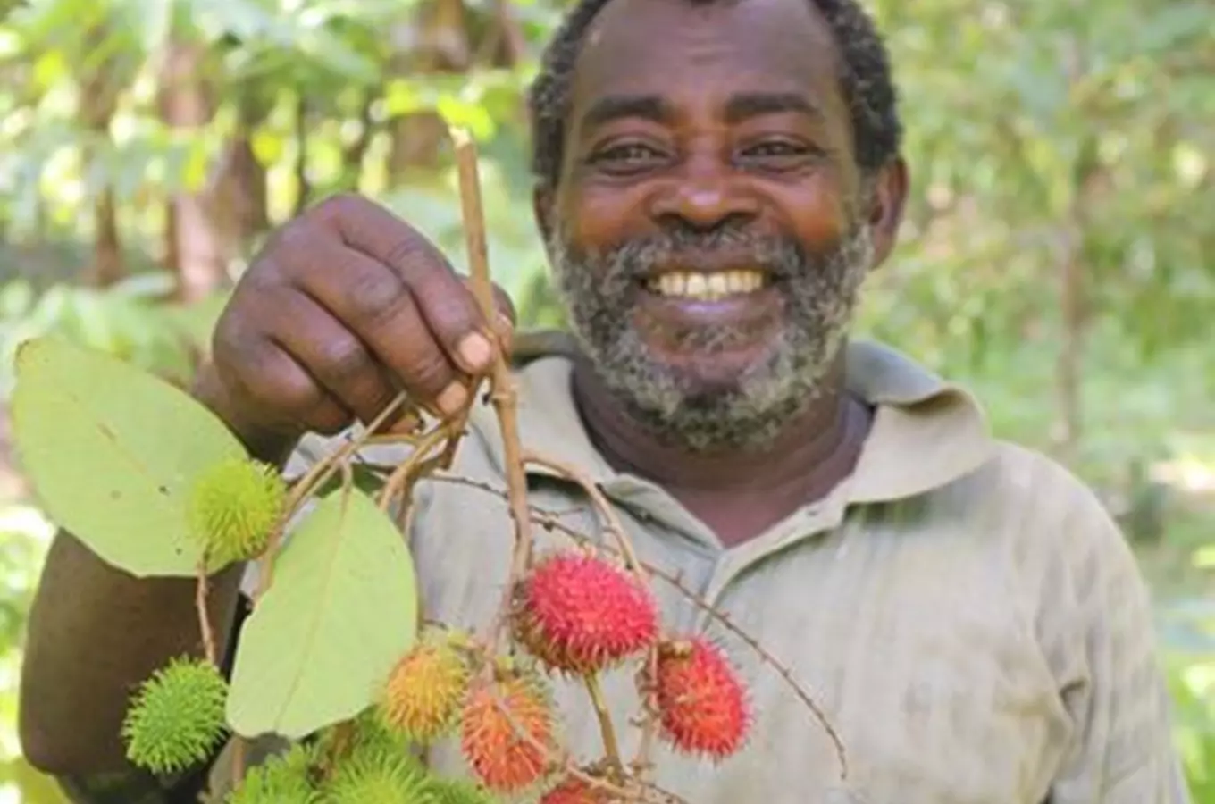 Africké trhy ve Svitavách