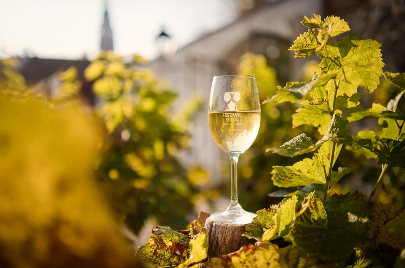 Festival vína Český Krumlov nabídne desítky vinařských a gastronomických zážitků