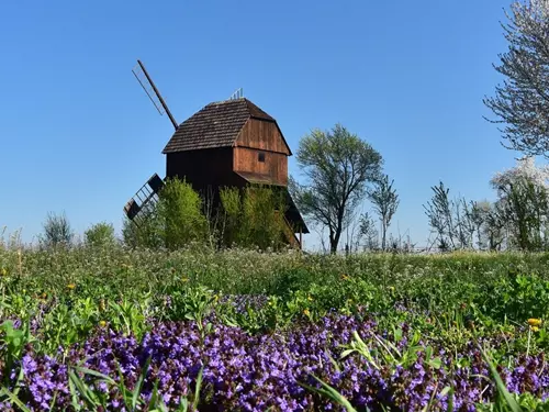 Pohádkové památky: 50 starobylých mlýnů, které najdete u nás v Česku