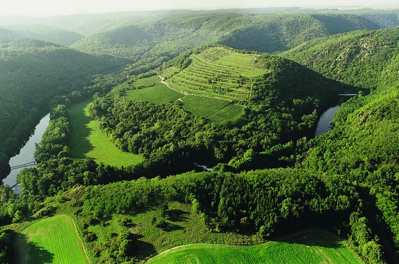 #světovéČesko a vinařská cesta jižní Moravou: z vinice Šobes přes Pálavu a Plže na rozhlednu v Kobyl