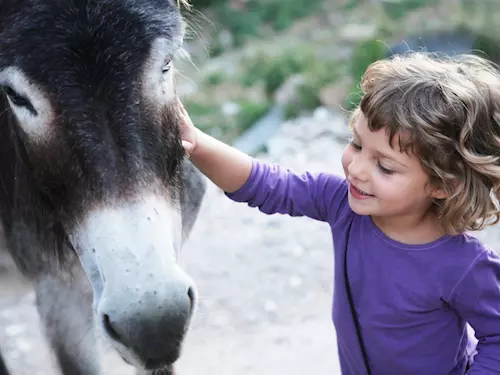 Prijdte na Den detí do Zoo Jihlava