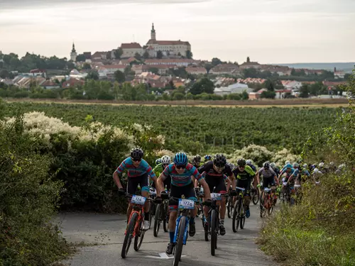 Prima Cup – Škoda Auto Mikulov