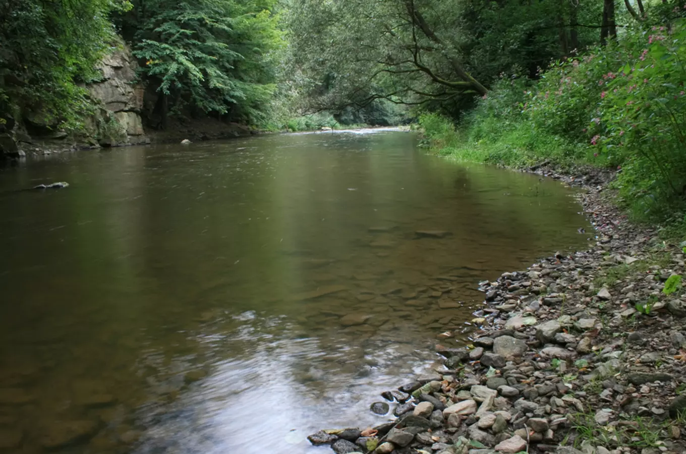 Řeka Svratka – Kudy z nudy