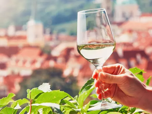 Pražské vinice se otvírají: přijďte ochutnat, co se na nich urodilo