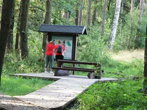 Příměstský park Mannův les v Osečné