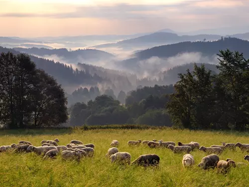 Skvosty našich národních parků: 50 nejkrásnějších míst, která navštívit na Šumavě