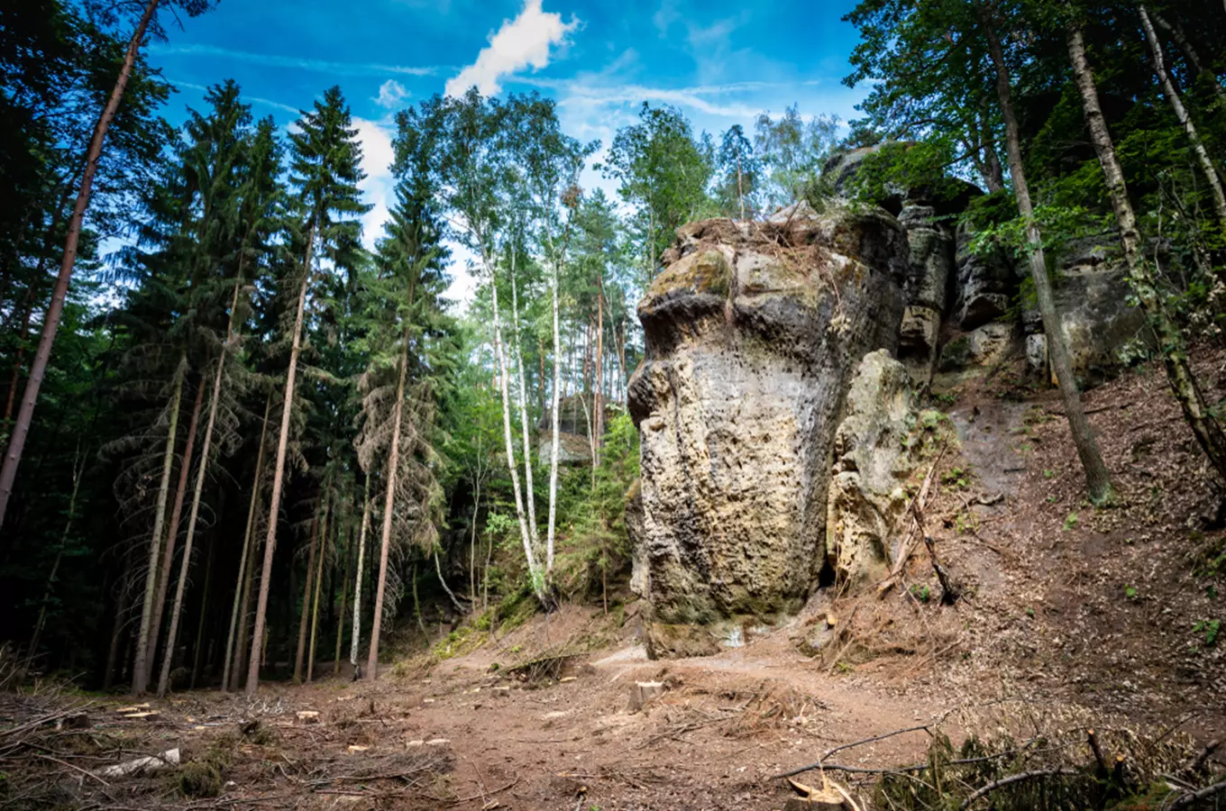 Objevte nejkrásnější místa Kokořínska: romantické lesy, pískovcové skály a skalní útvary 