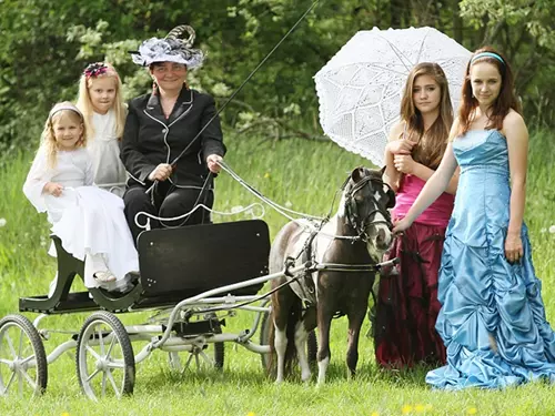 Novými obyvateli parku Boheminium v Mariánských Lázních jsou miniaturní koně