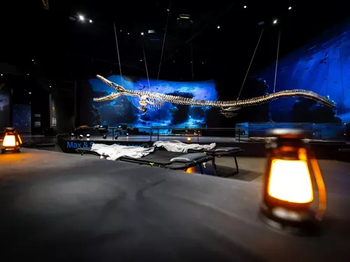 Noc plná zážitků v Dinosauria Museum Prague