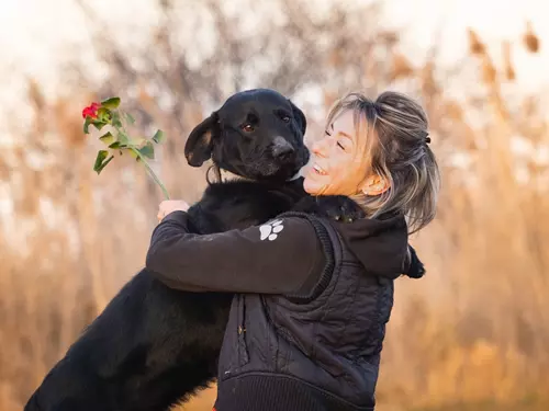 Dogský pochod a Den otevřených dveří útulku Dogsy