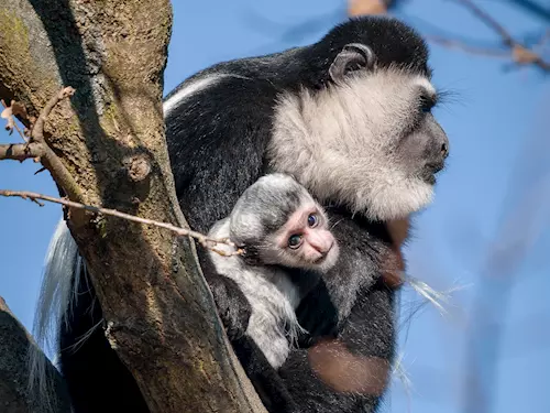 Zvířata v Zoo Praha si užívají první paprsky jarního slunce