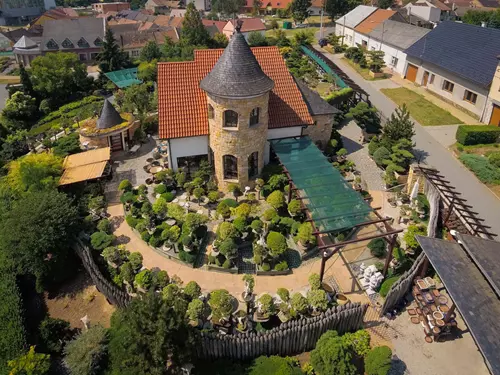 Muzeum bonsají Isabelia ve Starém Městě na Moravě