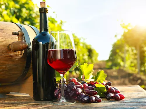 Putování Krajem vína vás zavede na vinařské stezky i k otevřeným sklepům