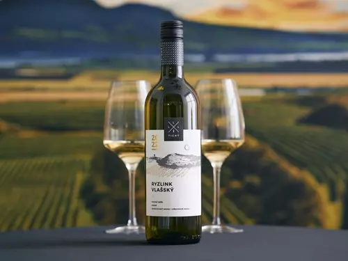 Nejlepším vínem České republiky 2024 je Ryzlink vlašský Vinařství Tichý z Dolních Dunajovic
