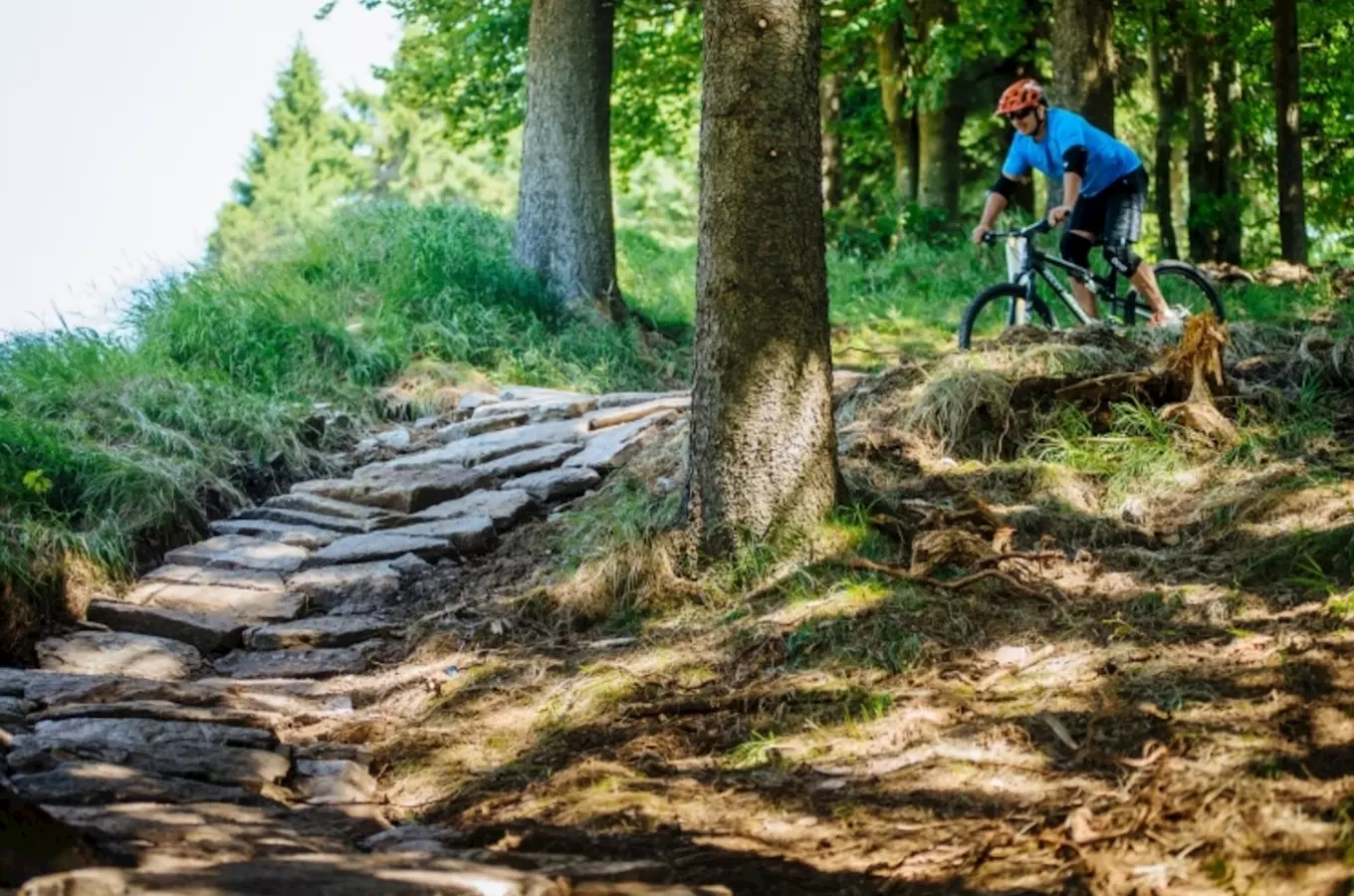 Bikepark Říčky v Orlických horách