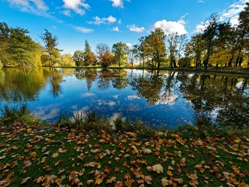 Zámecký park Šilheřovice