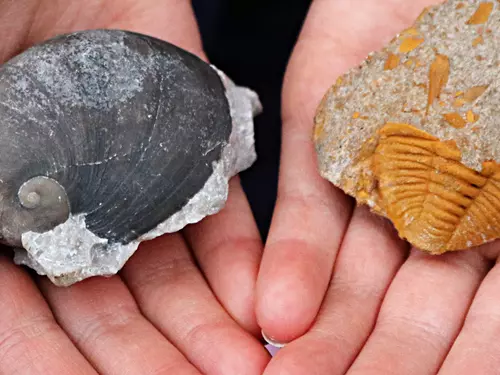 Geologická exkurze na naleziště zkamenělin