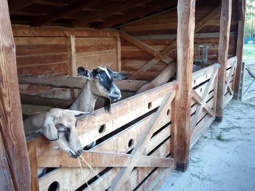 Minizoo Milíčovský dvůr Praha 11 – Zoopark Milíčov