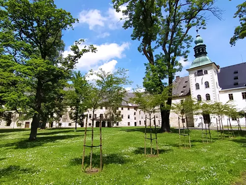Zámecké letní kino