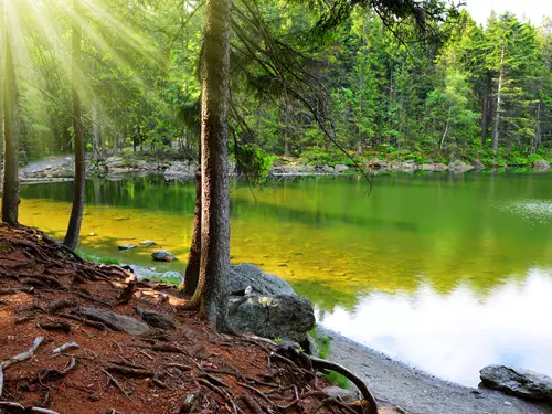 Čertovo jezero – jediné šumavské jezero náležící k povodí Dunaje