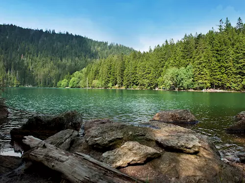 Černé jezero na Šumavě – největší přírodní jezero České republiky