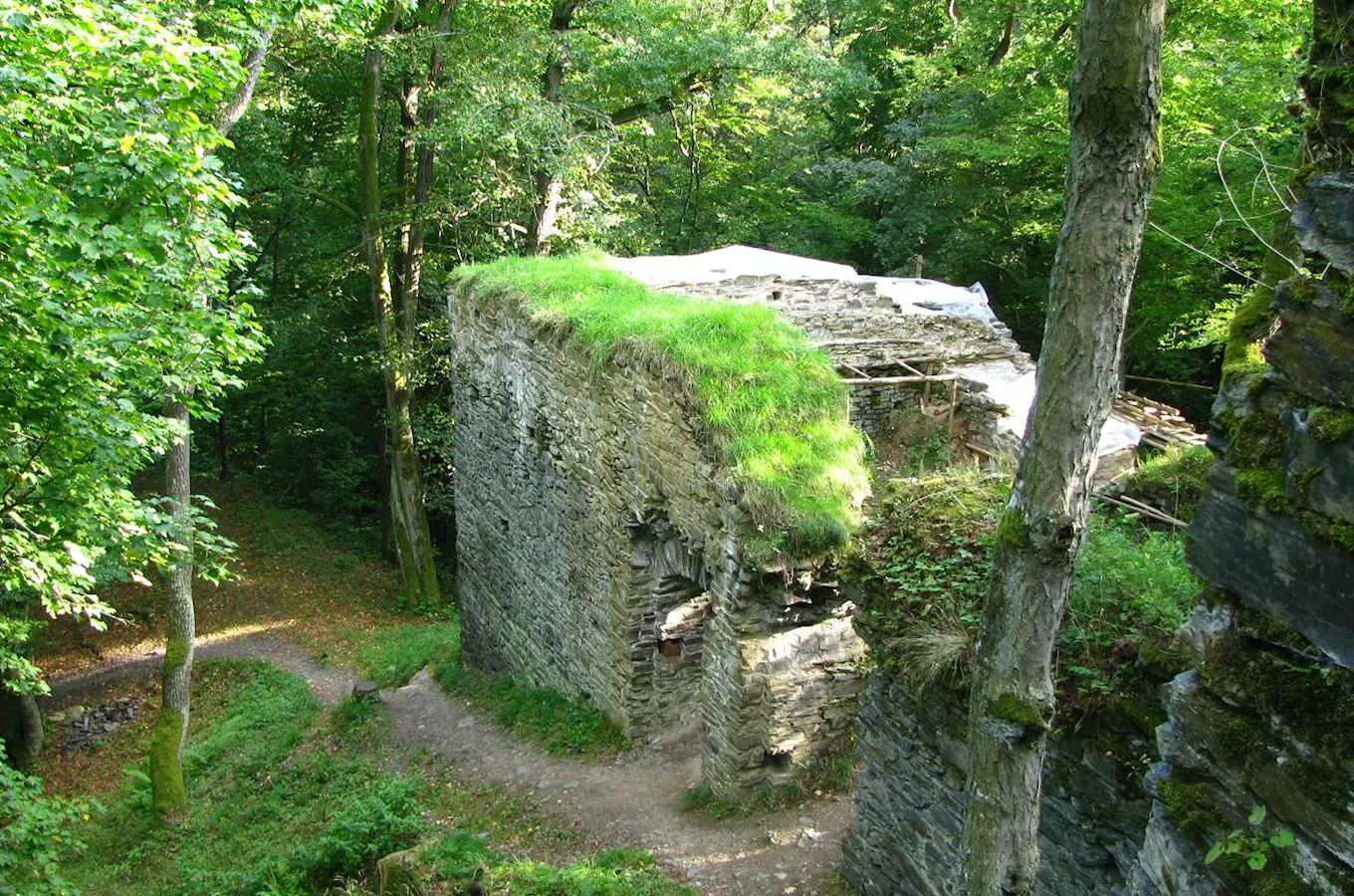 Jenčov –  nejmenší královský hrad u nás