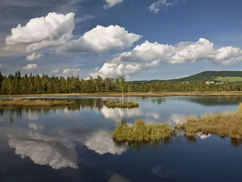 Rok Návratů v Národním parku Šumava