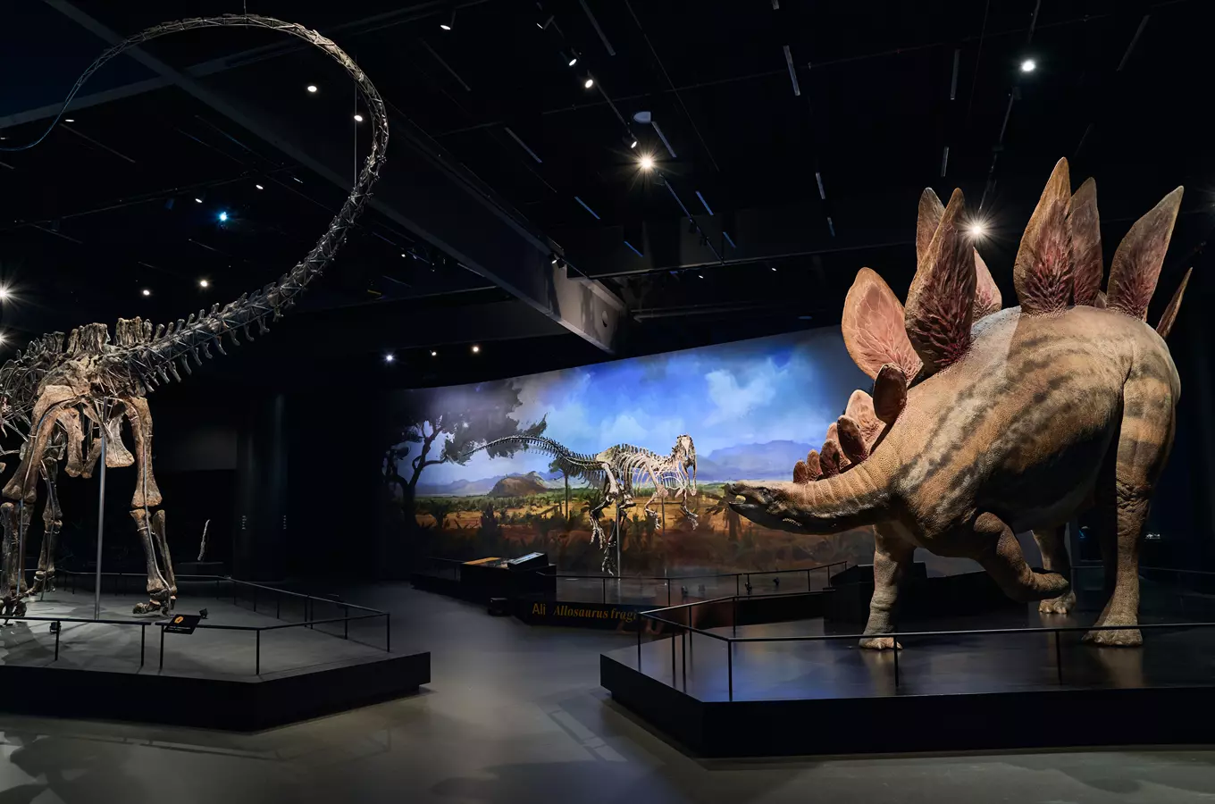 Dinosauria Museum Prague – Dinosauria Praha