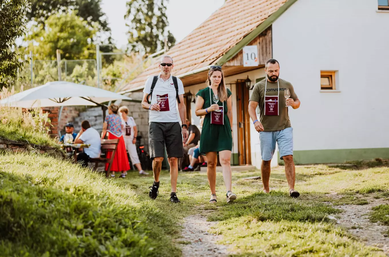 Udělejte si vycházku půvabnou krajinou Mikulčic a ochutnejte víno i burčák z otevřených sklepů