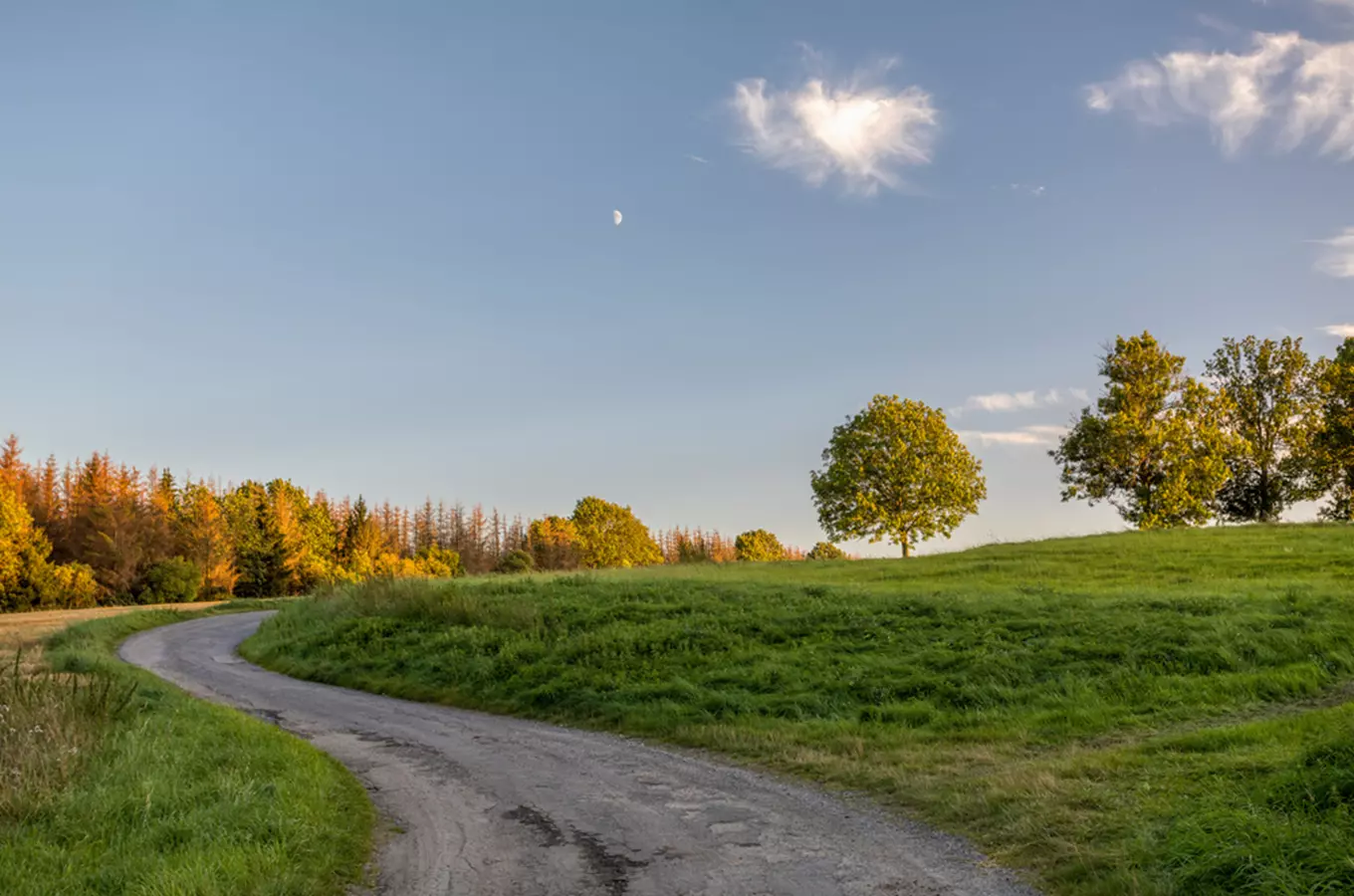 Přírodní rezervace Polom na Chrudimsku