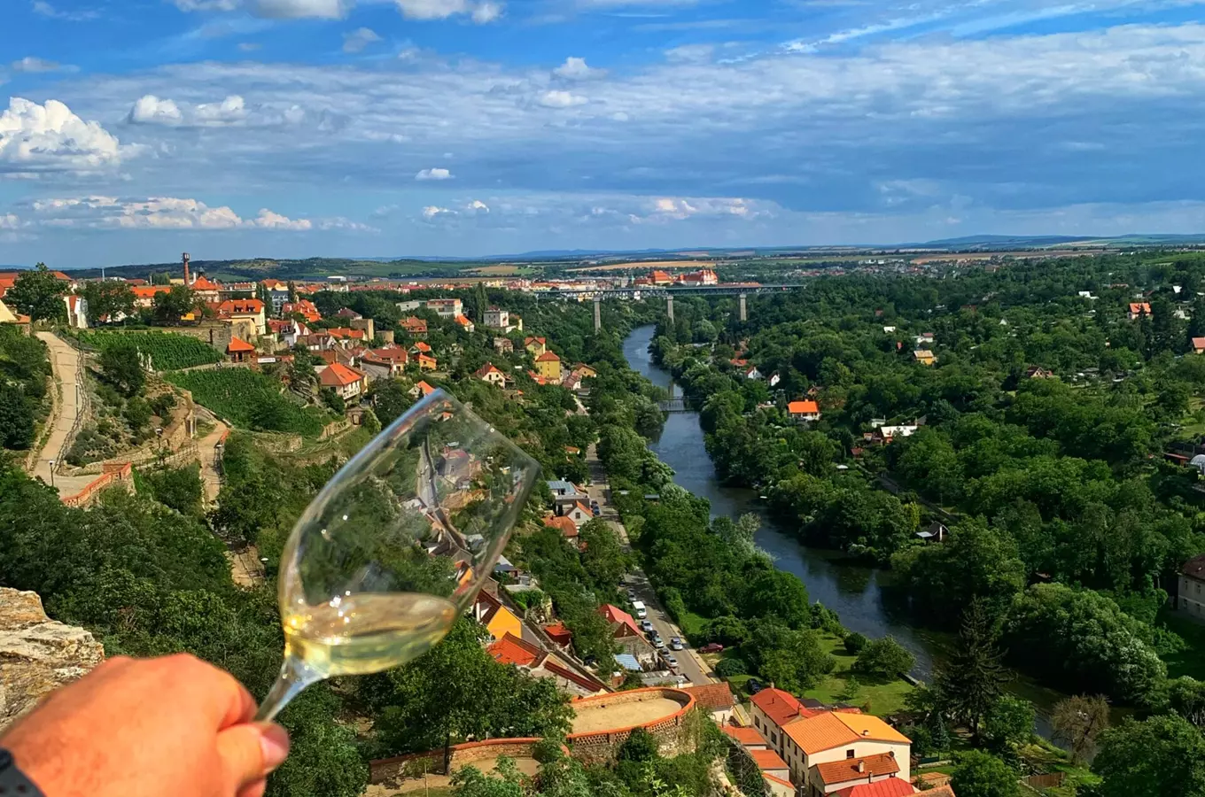 Wine Trip Car - Morava