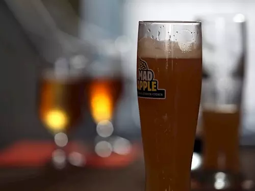 Pivní bar Zubatý pes – ochutnejte piva z domova i ze světa