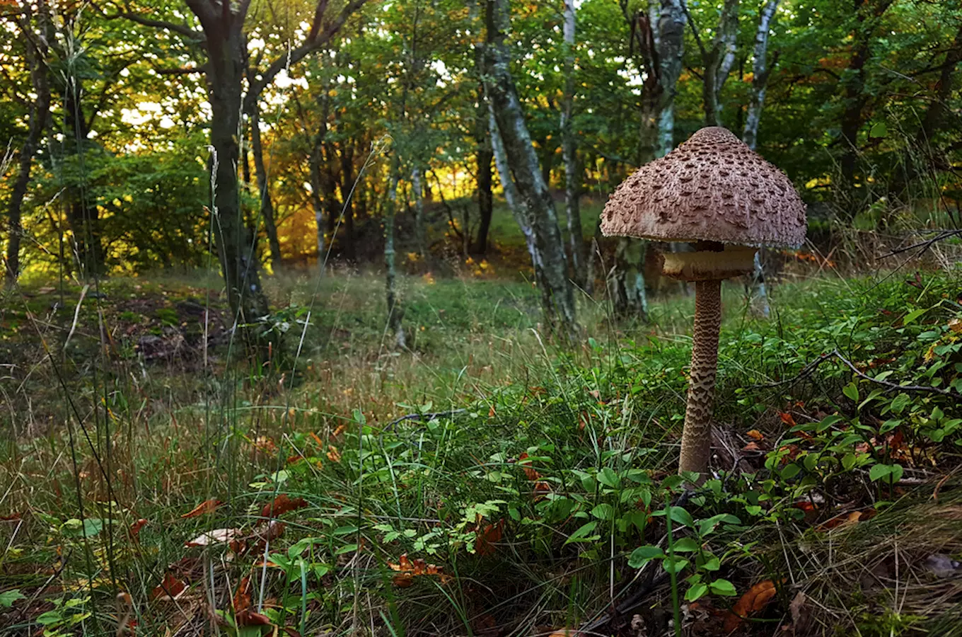 Zaniklá ves Stoupa – Starý Pochr