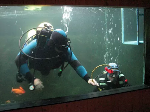 Potápěčské exkurze v akváriu Džbánov