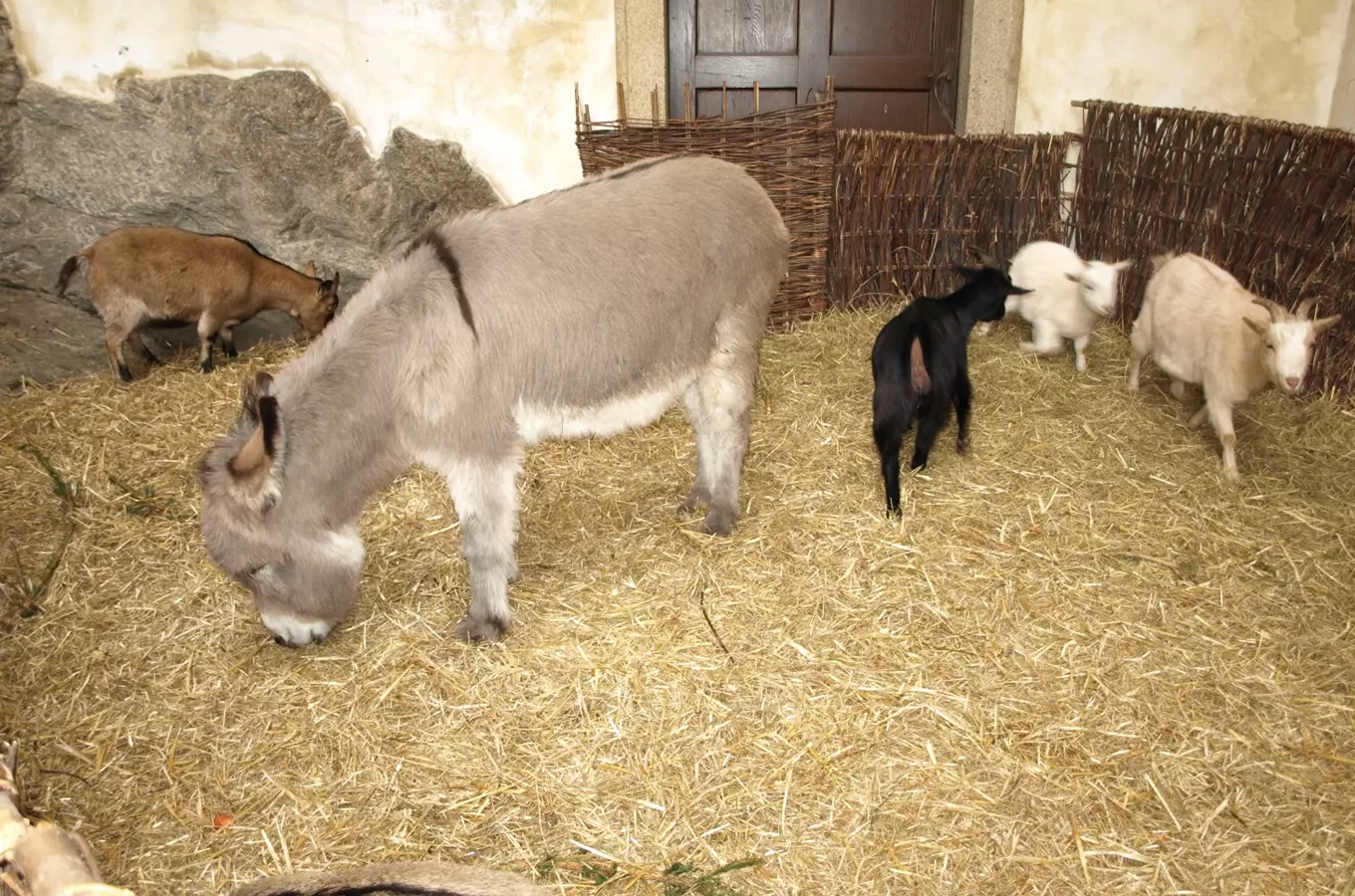 Adventní dny na Státním hradu a zámku Jindřichův Hradec 