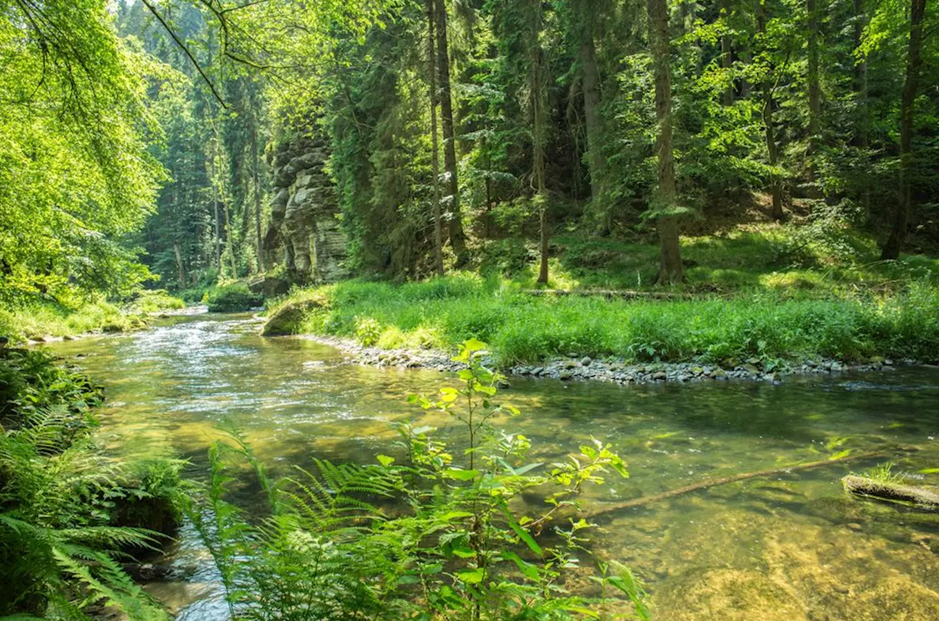 Řeka hřenská Kamenice