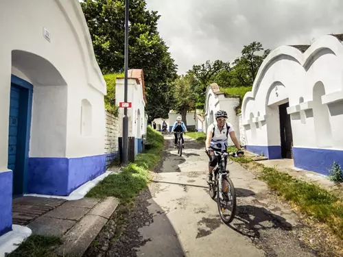Moravské vinařské stezky lákají cyklisty do sedla