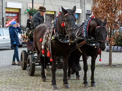 Koňské spřežení, náměstí ČSA