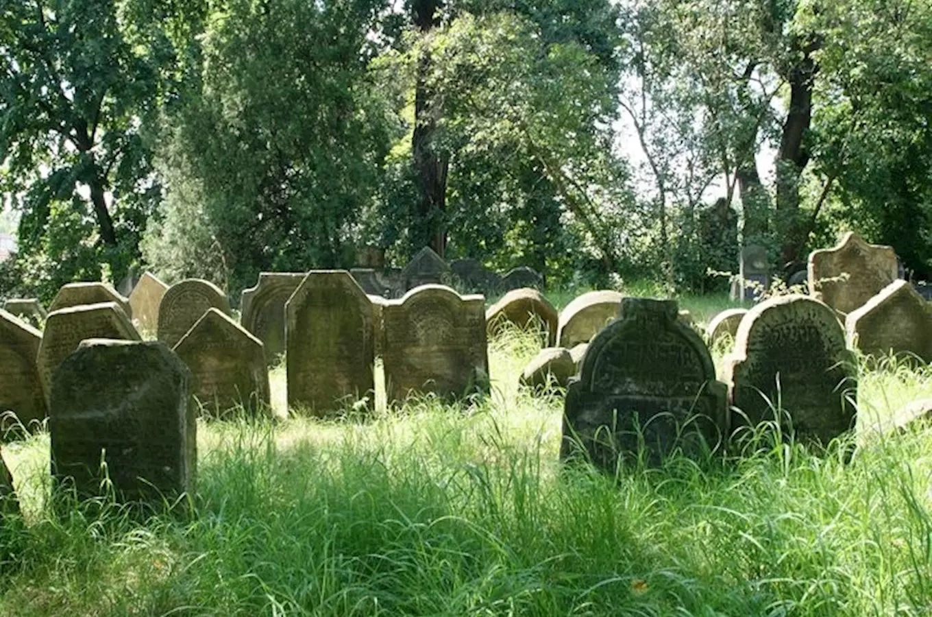 Židovský hřbitov v Brandýse nad Labem 