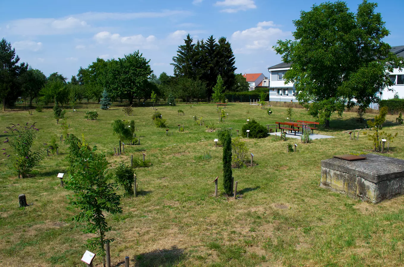 Arboretum Vrahovice